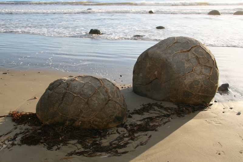 Nieuw-Zeeland 2011 - 2079